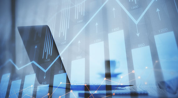 Owner portal for viewing financial reports, maintenance updates, and property details